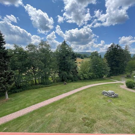 Myschluchseehome Gemuetliche Ferienwohnung Mit Suedbalkon Und Pool Im Haus Exterior foto